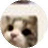真实客户头像