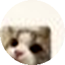 真实客户头像